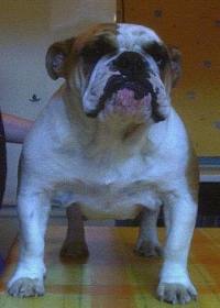 scarletph.jpg (8742 octets)